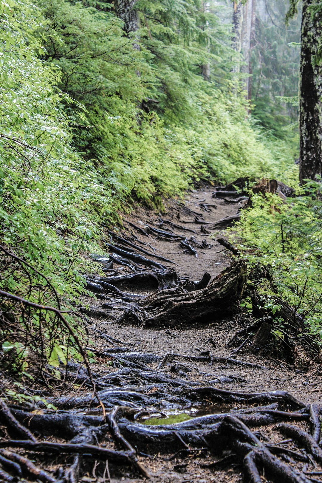 trail safety Assessment